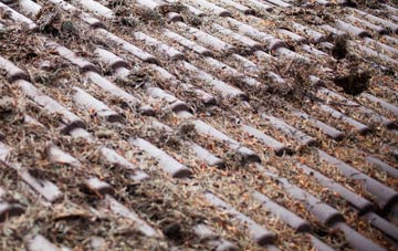 Sourlie roof cleaning companies